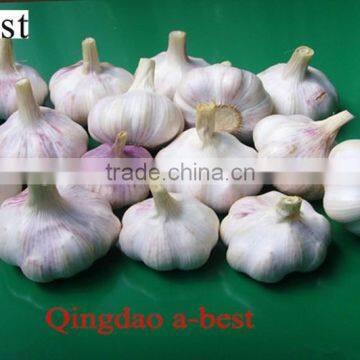 NORMAL WHITE FRESH GARLIC 4.5CM