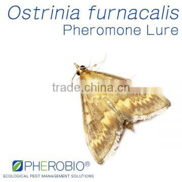 Pheromone Lure for Ostrinia furnacalis (Asian Corn Borer), Sex Pheromone Bait & Pheromone Trap for Ostrinia furnacalis