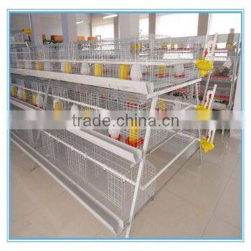 Automatic poultry house for broiler/cheap price layer cage for growing broiler