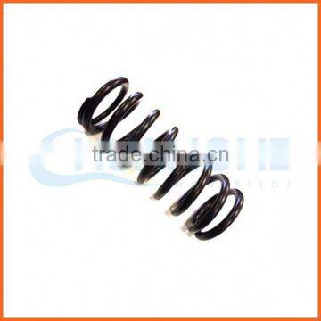 Customized Wholesale Quality Printed Coil Springs photo-3