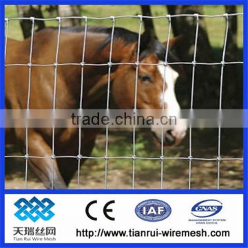 High quality field fence,grassland fencing