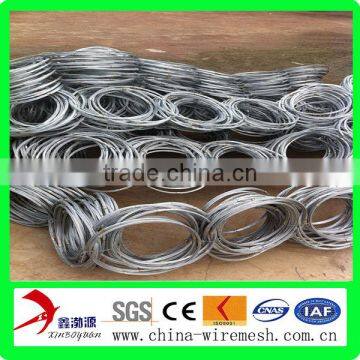 Positive SNS Protective Mesh