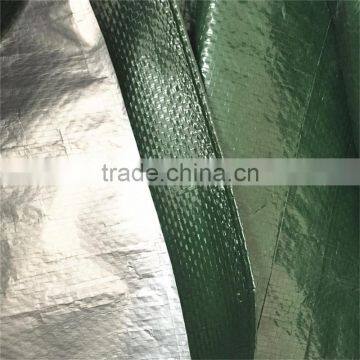 Professional clear plastic tarpaulin