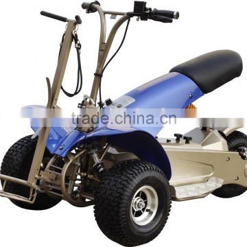 1000W ELECTRIC GOLF CART SX-E0906-6A