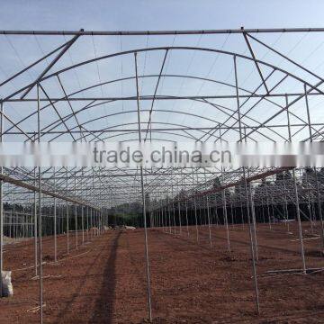 Arch Pipes Poly Multi-span Greenhouse for Vegetables photo-2