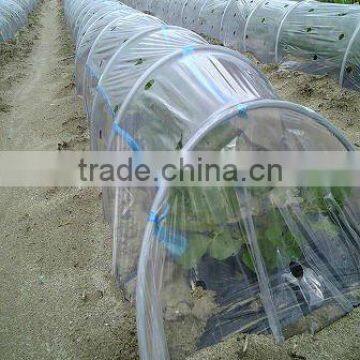 plastic gardeners cloche film