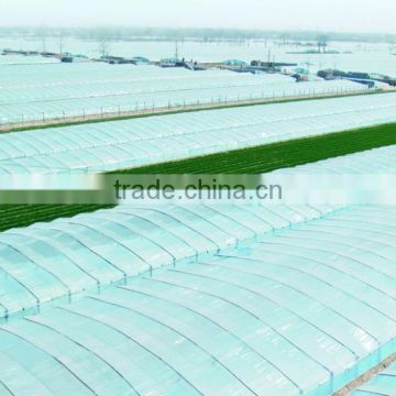 agriculture greenhouse with good quanlity