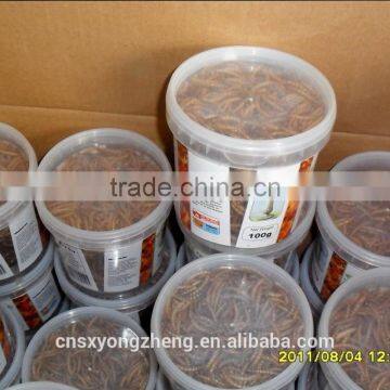 Dried Yellow Mealworm,Birds Food & Aquarium Fish Food photo-4