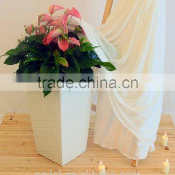 2015 Christma Ornament Self Watering Plastic Flower Pot photo-2