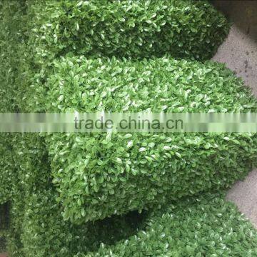 High Quality Plastic Artificial Boxwood Hedge Green Wall