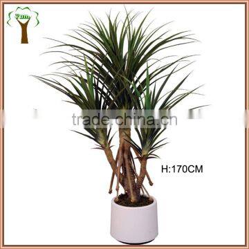 Big artificial pandanus plant pandanus tree produce