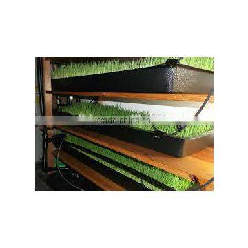 China Customized Plastic Seedling Propagation Flat Tray from Factory