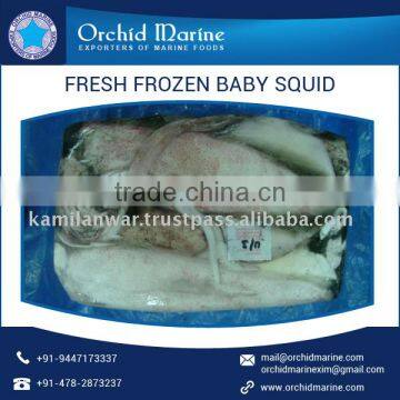 Excellent Taste Fresh and Hygienic Frozen Baby Squid, Sea Food Exporter