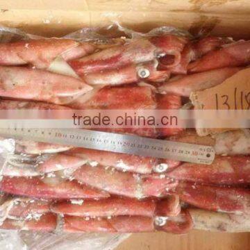 sea Frozen Loligo chinensis ,for Italy ,Greece et ,EU market