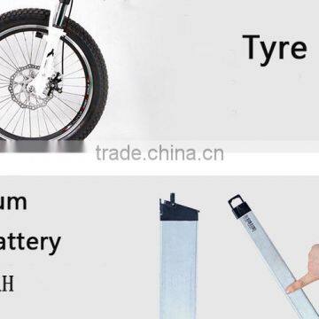 Folding Bike photo-6