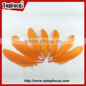 Dyed Colored Purple and Black Goose Feather and Down for Sale photo-4