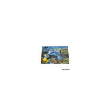 Sell 3D Decorative Picture