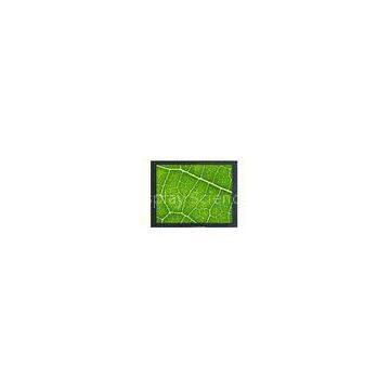 Wall Mount 26