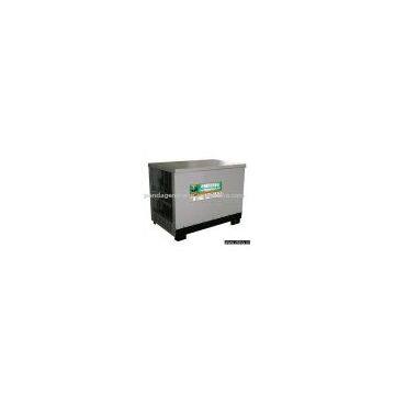 LPG/Natural gas generator--10KW