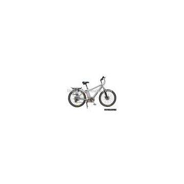 Electric Bicycle