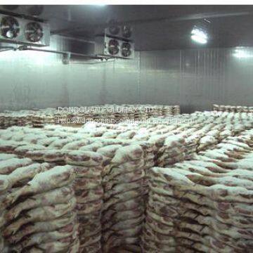 Cold Storage Flower Storage Cold Room photo-4