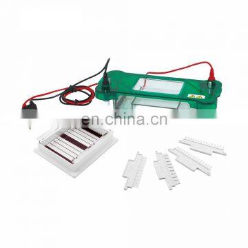 SPBT Cheap Lab And Medical Horizontal Electrophoresis