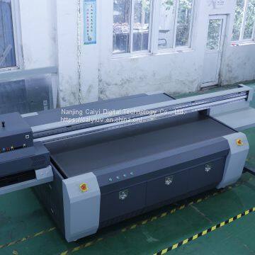 Large format digital Caiyi UV Flatbed Printer (CY-UV2513)