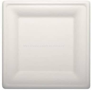 10 inch wholeasale price Eco friendly Biodegradable Sugarcane bagasse Square plate china supplier