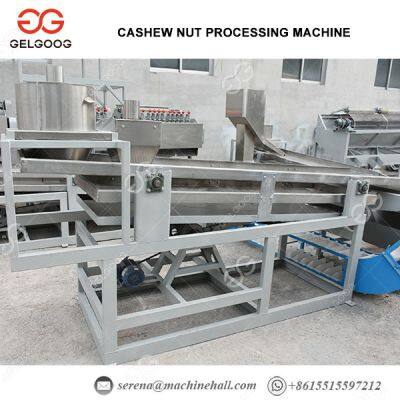 Cashew Nut Cracking Machine Cashew Nut Processing Unit Raw Cashew Nut Processing Machine