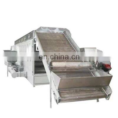 Mesh belt Dryer for drying vegetable and fruits (tomato)