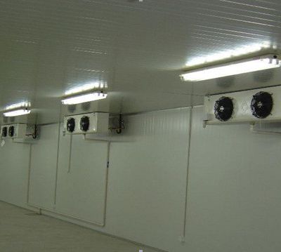 China Cold Room Suppliers Desian 40 Tons Capacity Fruit Cold Room