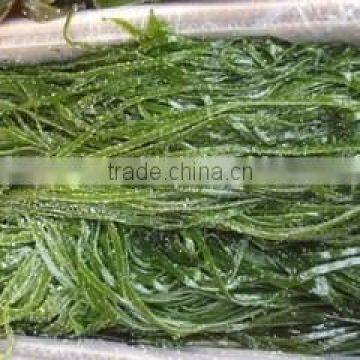 Chinese Seafood of Frozen Salted Kelp Cut Seaweed Buyer