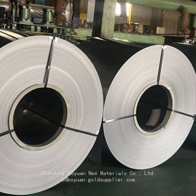 Double-Coated Color Steel: Revolutionizing Cold Storage Design