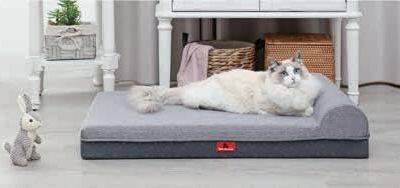 Orthopedic Memory Foam Calming Pet Bed With One Pillow