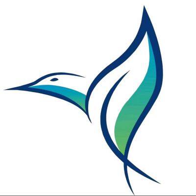 Zhongshan Blue Kingfisher New Environmental Protection Material Co., Ltd