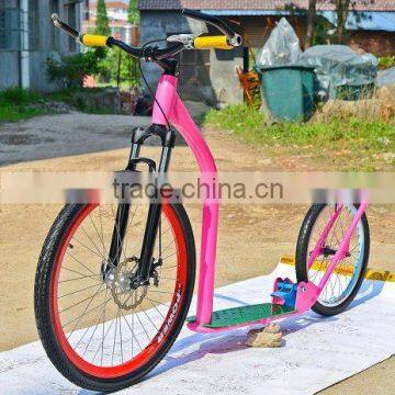 2016 New Adult 2 Wheel BALANCE Dog Kick Scooter for Sale