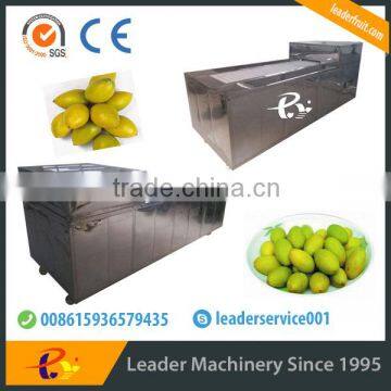 Leader fruit pitting machine with CE&ISO