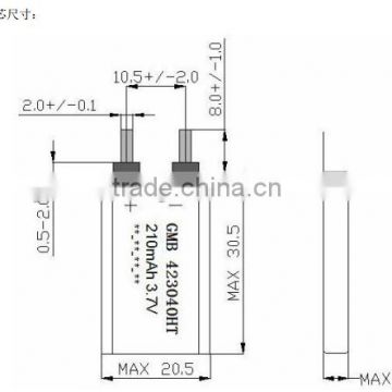 Lithium Polymer Battery