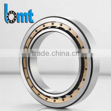 High quality Cylindrical Roller Bearings NJ1052