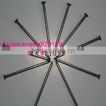 Common Nail Iron Nail Factory Common Wire Nail photo-3