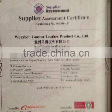 Supplier Assessment