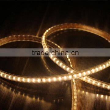 220v Led Strip 3014 Lighting for Wedding Decoration photo-3