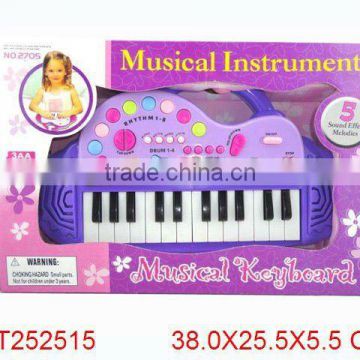 musical instruments professional