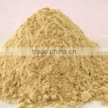 Dry Galangal Powder - Special price - High quality