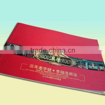 Custom printed folding flyer