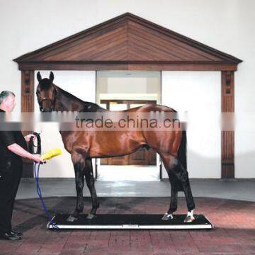 Foldable Horse Scale livestock scale