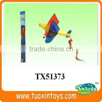 the Chinese Promotional Pocket Kite Factory photo-6