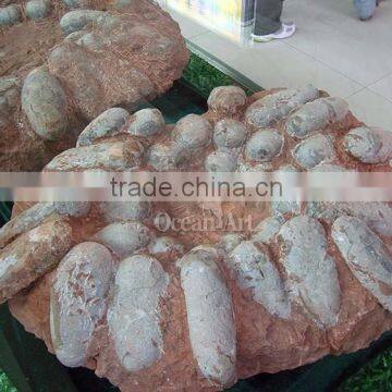 life size museum dinosaur eggs fossil