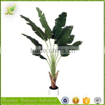 china supplier new arrival 2015 artificial traveller banana tree for sale