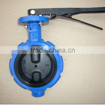 Cast iron butterfly valve